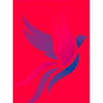 Air Phoenix