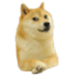 Real doge fan group