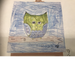 sky’s owl group