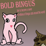 Bold Bingus