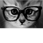 The Nerdy Cats