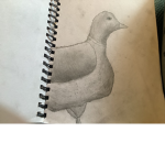 Quack quack I'm a duck!
