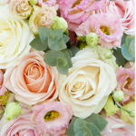 Nature&Fleurs