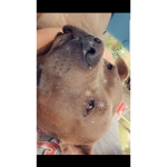 My baby boy