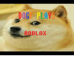 doge palys yt offical fan club