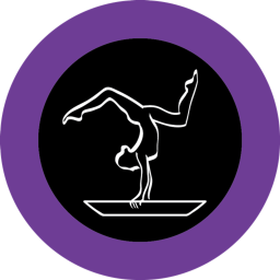 Bursting Blaze Gymnastics Academy