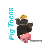 PIG TACOS