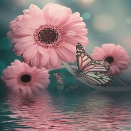 Pastel Butterflies Roblox decal