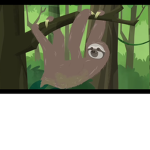 Team Sloths And foxes
