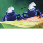 -smurf frogs-