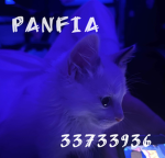 panfia