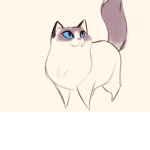 Little cat studios