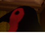 BiZklub