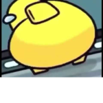 when yellow is SuS