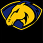 Detroit Mustangs
