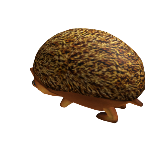 Hedgehog Friend