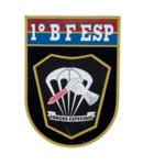 Batalhão de Forças Especiais - [(BFE)]