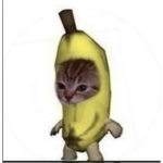 BANANA CATS GANG