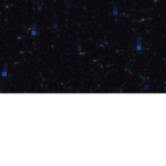 BLU3SCR33N