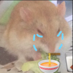 Kawaii Hamsters For Life!