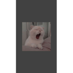 rrrroooobuuuxxxxx