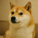 Doges are better then all dogs forever!