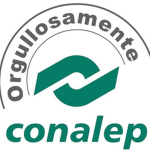 Apodaca Collective