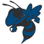 Springfield Stings Football