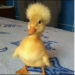 Roblox._.cloud