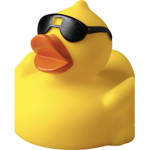 The Swag Rubber Ducks