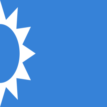 Cool Flag (Use for you own country) Roblox decal