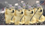 Doge Divisions
