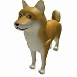 The Best Doggies