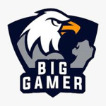 Big gamers group