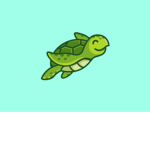 Turtle Gang weee