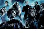 Hermione Ron and Harry Harry Potter club