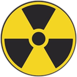 Nuclear Survivor