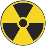 Nuclear Survivor