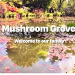~Mushroom Grove~