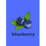 .•blue’s blueberries•.