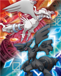 Reshiram & Zekrom Fan Club