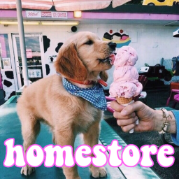 dreamy - apparel homestore ★