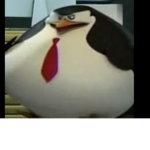 Merp123456
