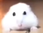 TheJeffIzComing