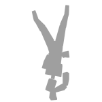 [FLEX] Handstand Pushup