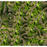 [WWF] The Wand Wood Foundation.