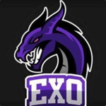 The ExoFle