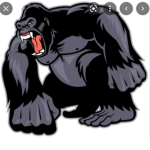 The gorilla guy group