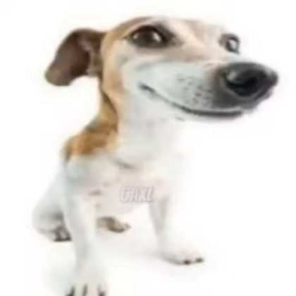 What the dog doing? 2 Roblox decal