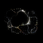 Synapse Intelligence